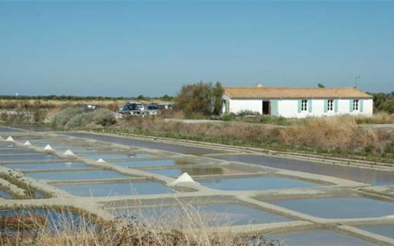 Marais salants de l’île de Ré