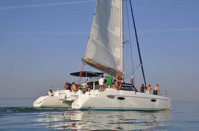 Blue note Catamaran île de Ré