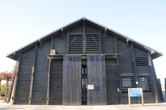 Activités sur l’île de Ré