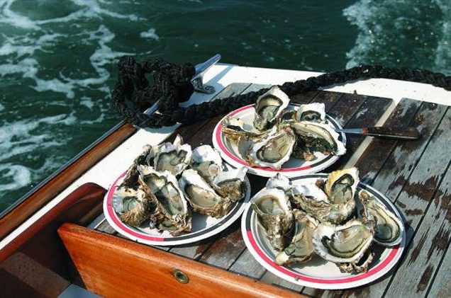 Déguster des huîtres sur l’île de Ré